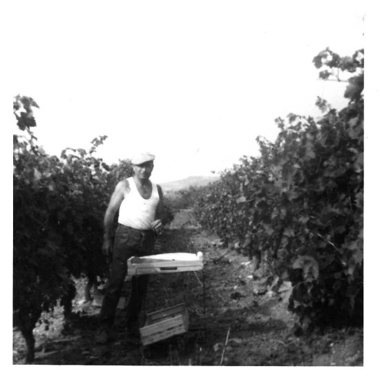 Famille-Gerald-jeune-vendange